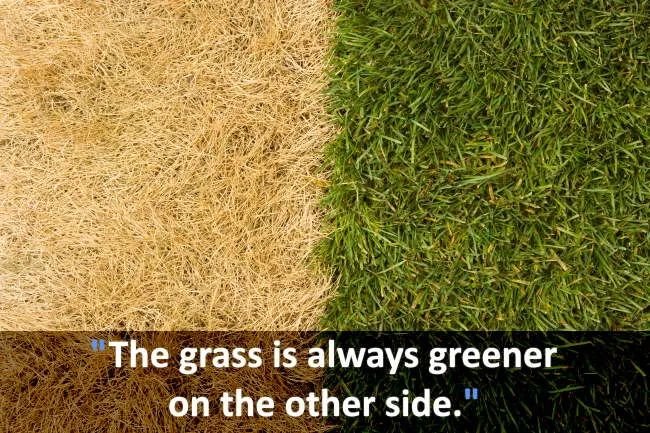 grass-always-greener-image.jpg