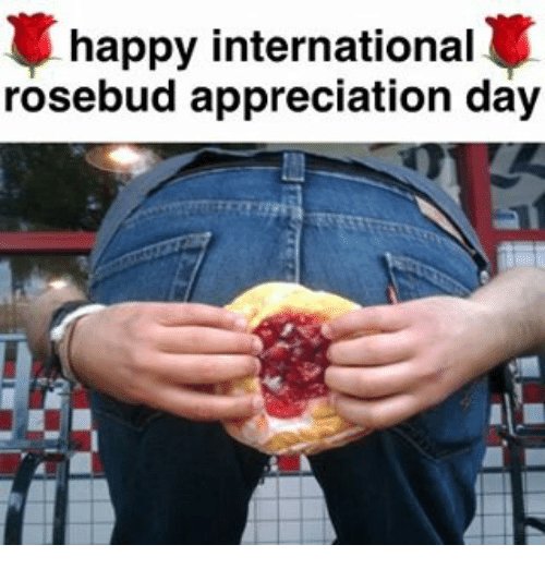happy-international-rosebud-appreciation-day-20754163.jpg