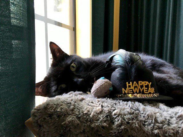 Happy New Year ~ Buddy.jpg