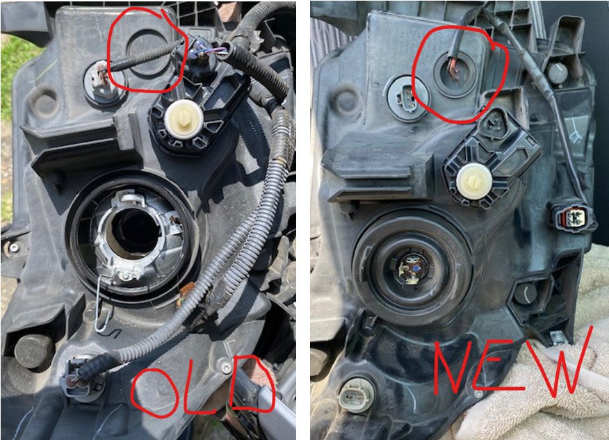 Headlight Backs.png