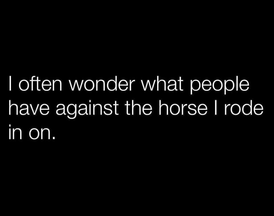 horse.jpg