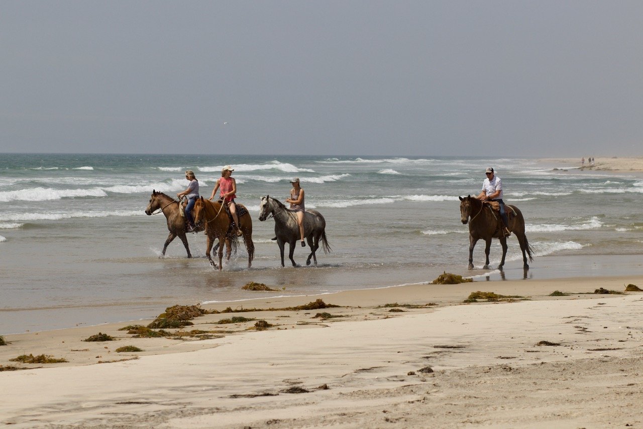 Horsing around at Border State Park.jpg