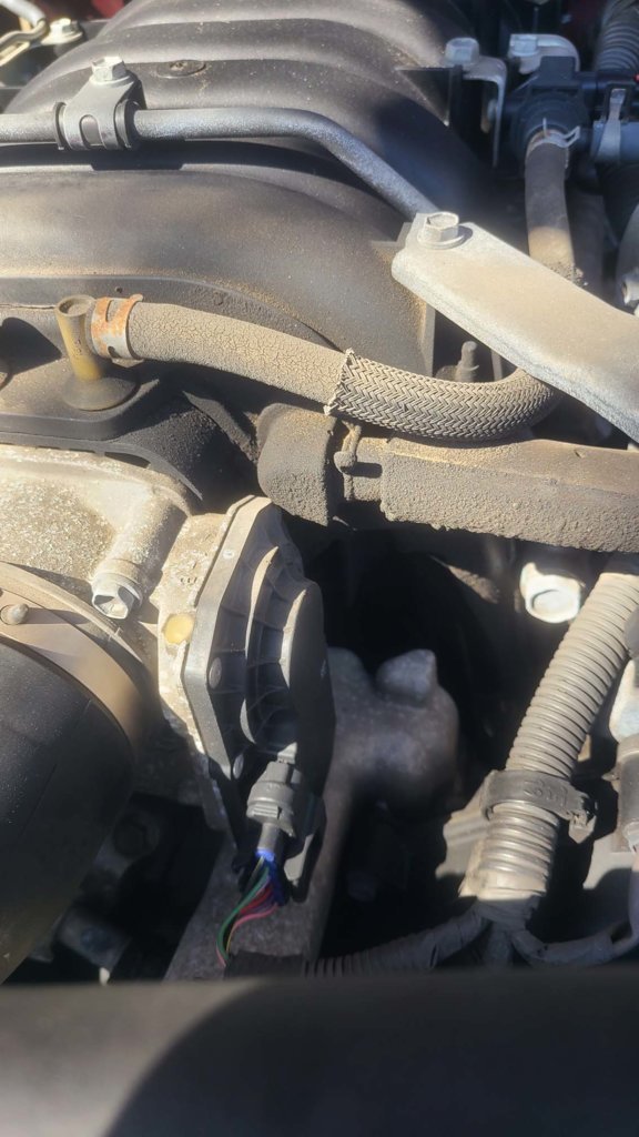 hose driver's side.jpg