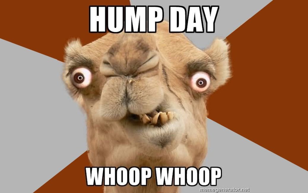 HumpDay.jpg