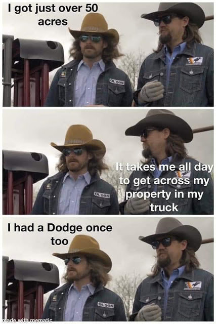 I had a Dodge once.jpg
