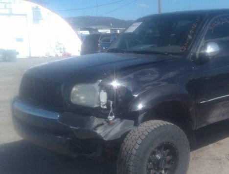 IAA PIC TUNDRA.jpg
