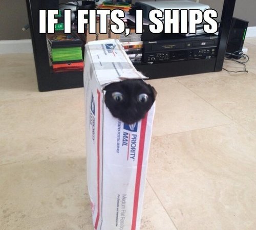 if-I-fits-I-ships-cat-priority-mail-box-post-13590763620.jpg