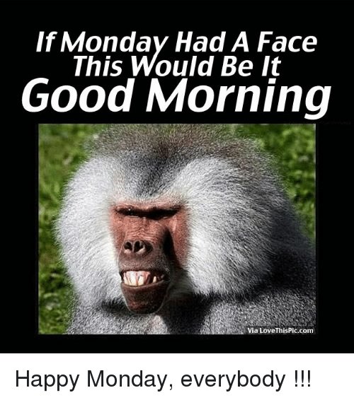 if-monday-had-a-face-this-would-be-it-good-3292070.jpg