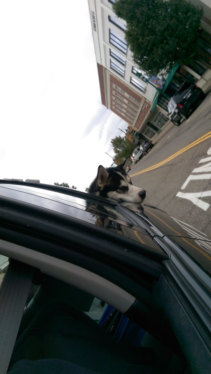 IMAG1165.jpg
