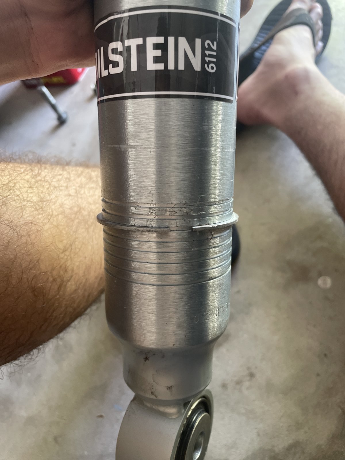 image.jpg
