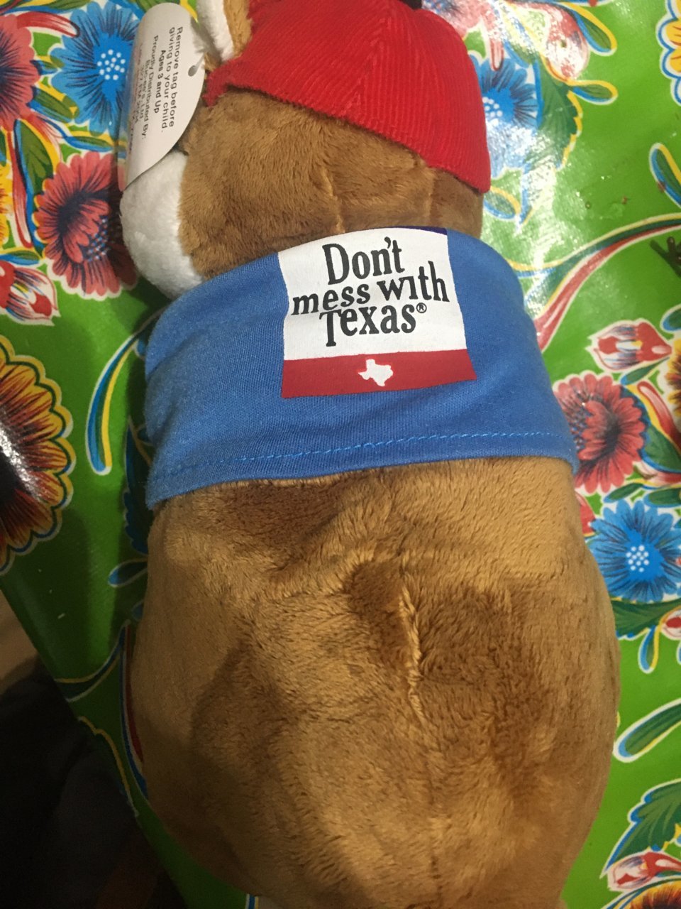 image.jpg
