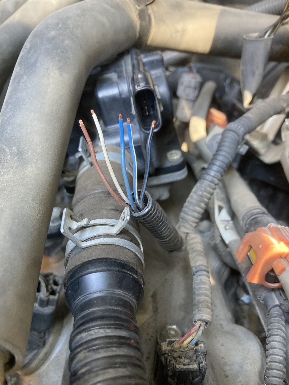 Help! I need the wire color order for the secondary air injection valve