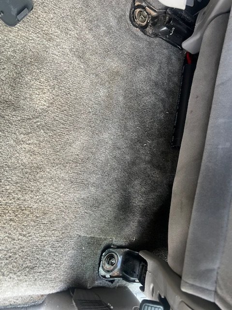 image1.jpg