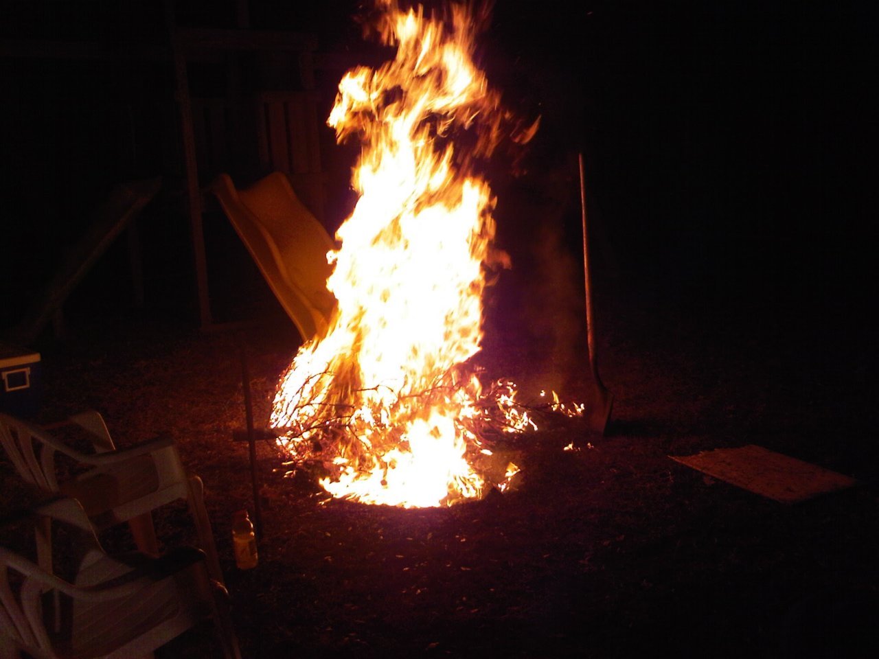 IMG00046-20100117-0315.jpg