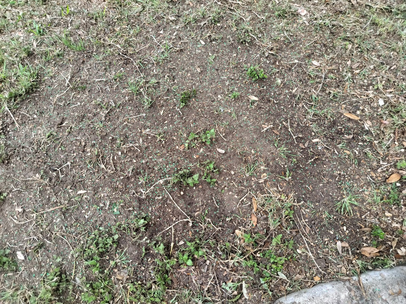 IMG20240503091005.jpg