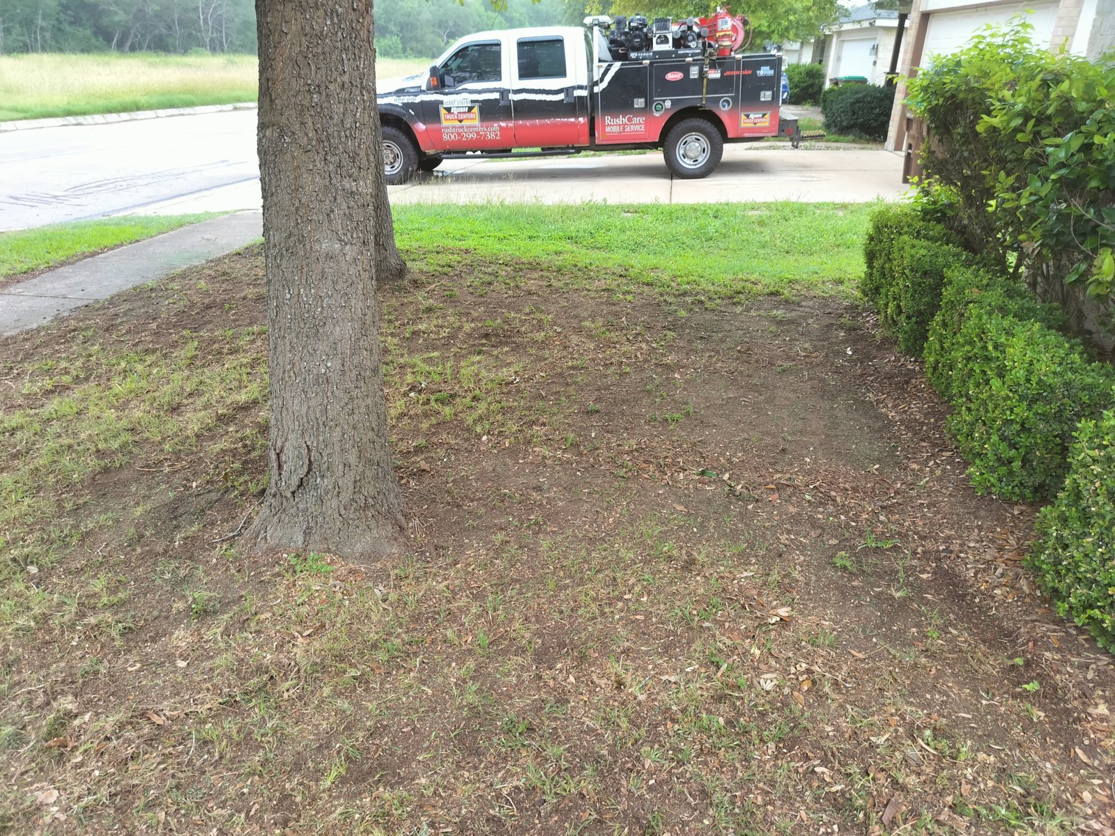 IMG20240503091009.jpg