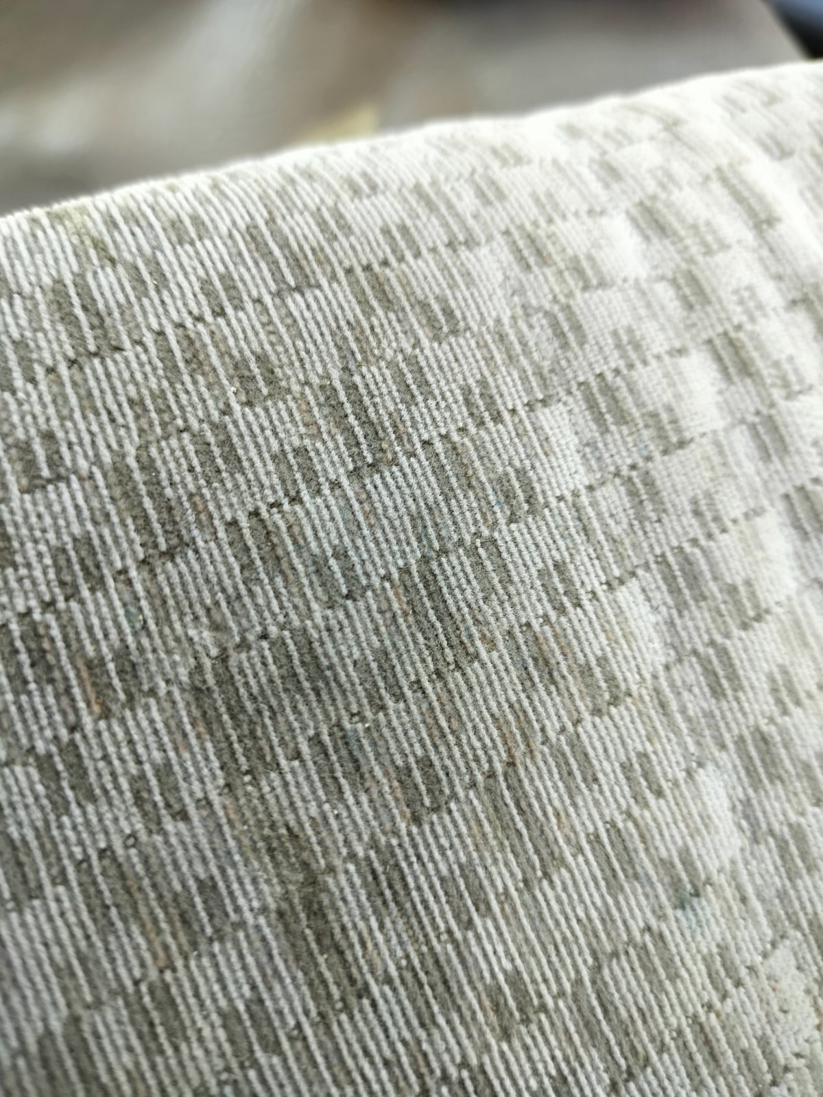 IMG20240820113643.jpg