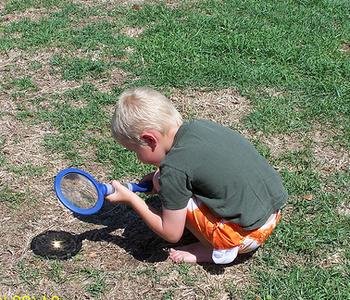 IMG_0195.jpg