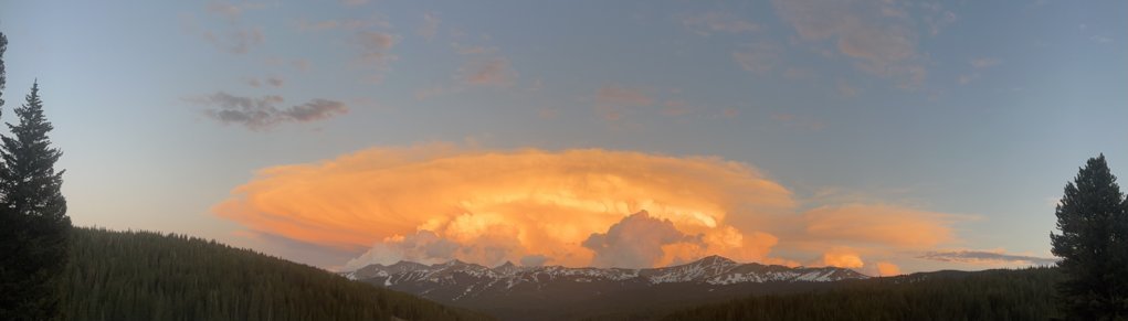 IMG_0354.jpg