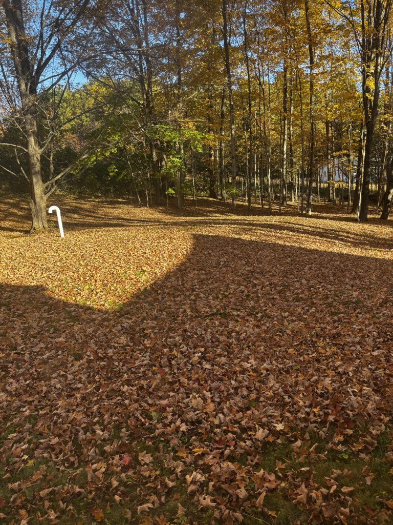 IMG_0590.jpg