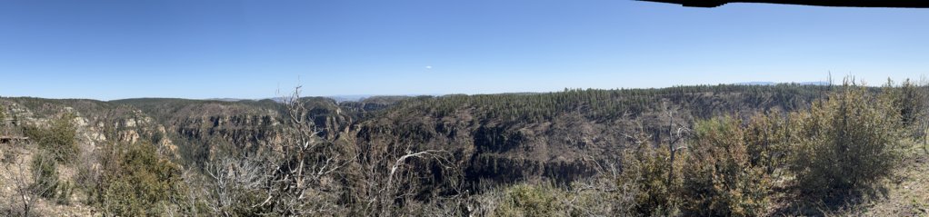 IMG_0684.jpg