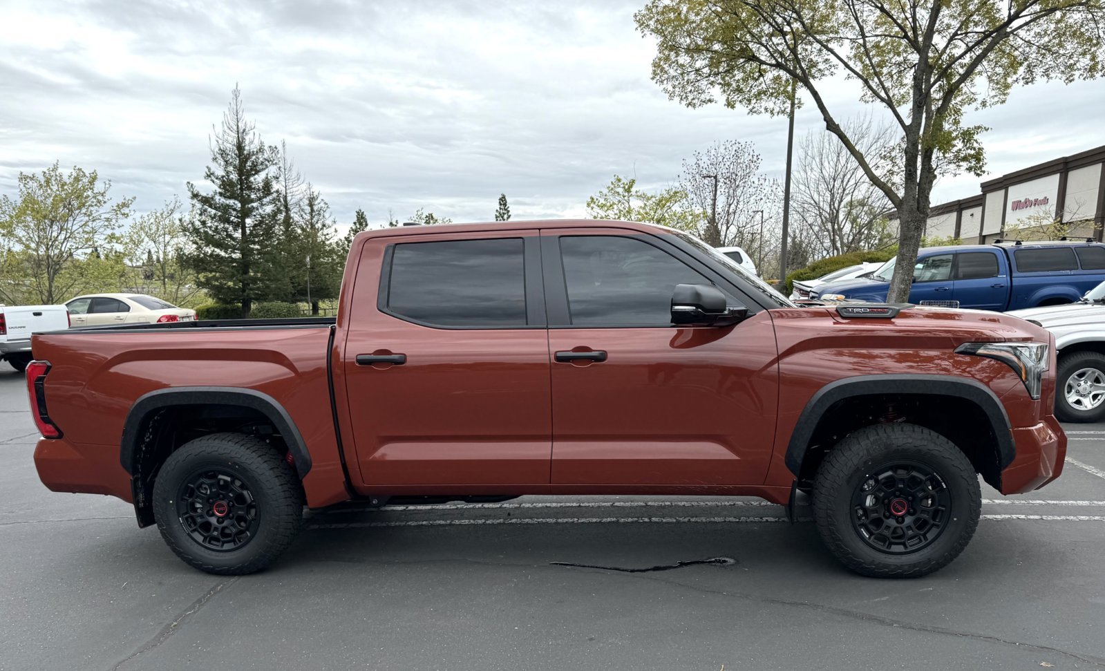 GO RHINO RB20 SLIM or REGULAR | Page 2 | Toyota Tundra Forum