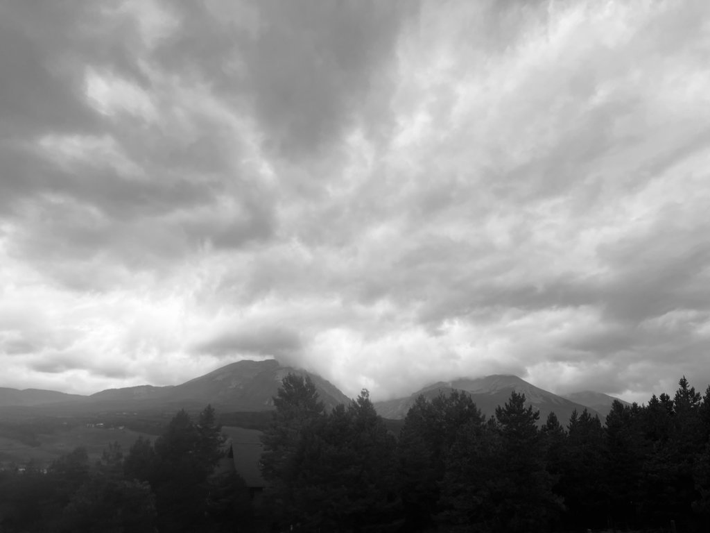 IMG_0890.jpg