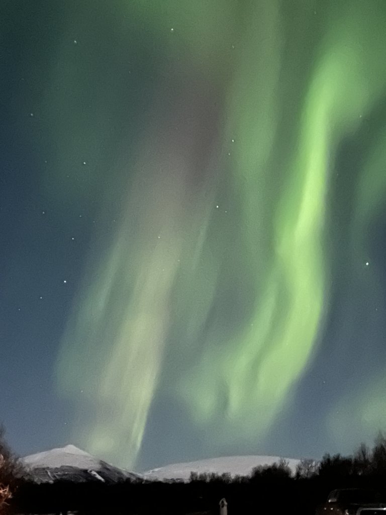 IMG_1099.jpg
