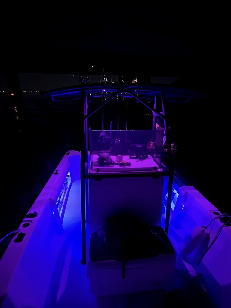 IMG_1106.jpg