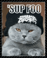 IMG_1307.GIF