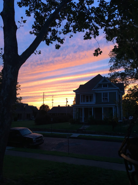 IMG_1452.jpg