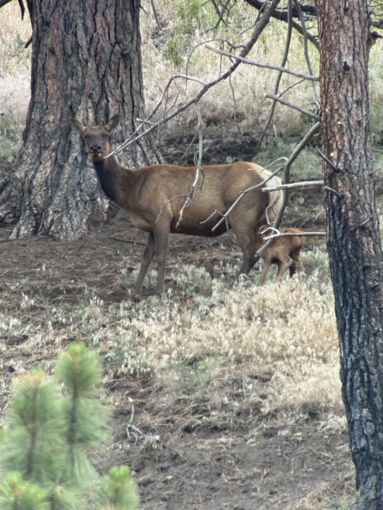 IMG_1635.jpg