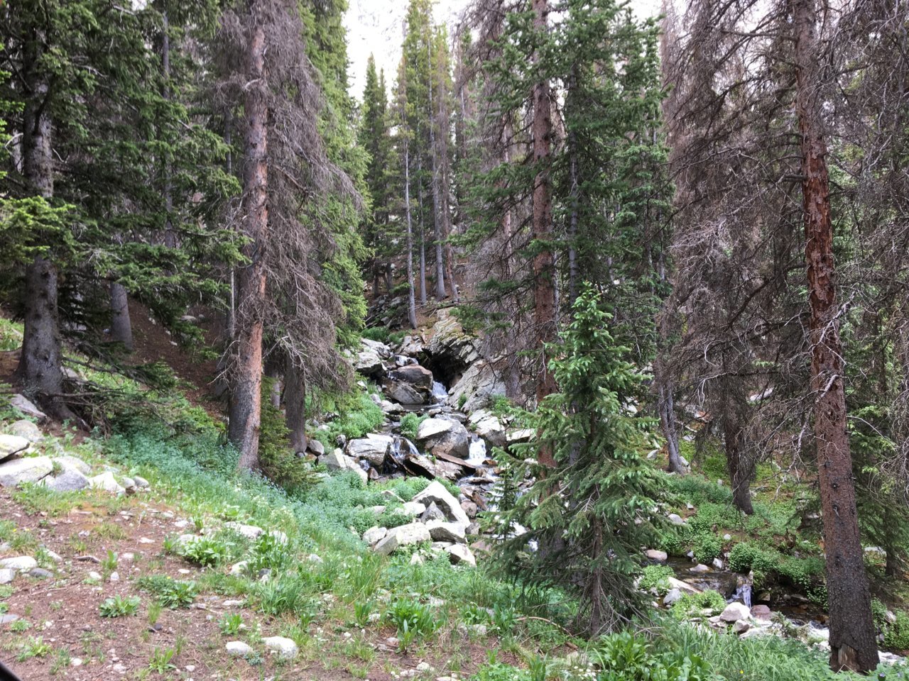 IMG_1644.jpg