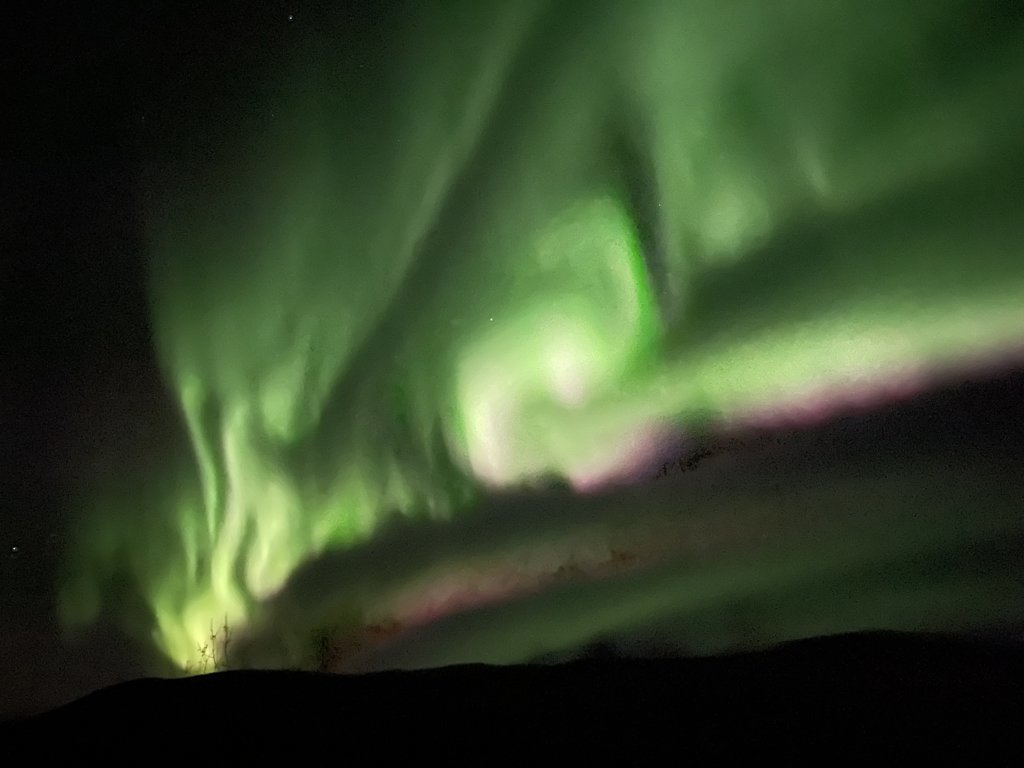 IMG_1706.jpg