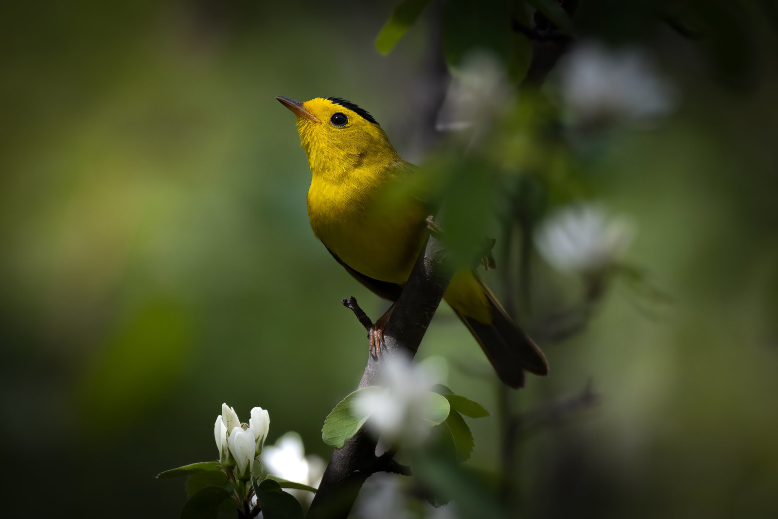 IMG_1804-Edit.jpg