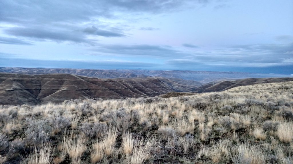 IMG_20141206_161318847_HDR_Original.jpg