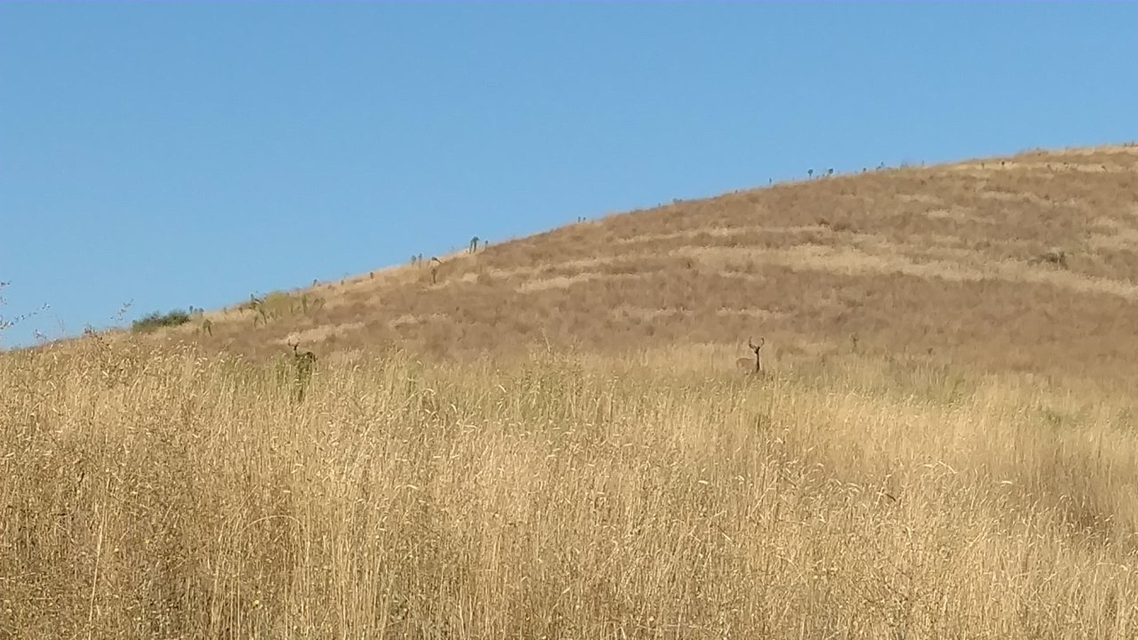 IMG_20180901_090122690.jpg
