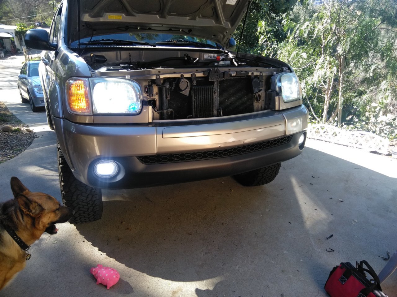 IMG_20190125_103117.jpg
