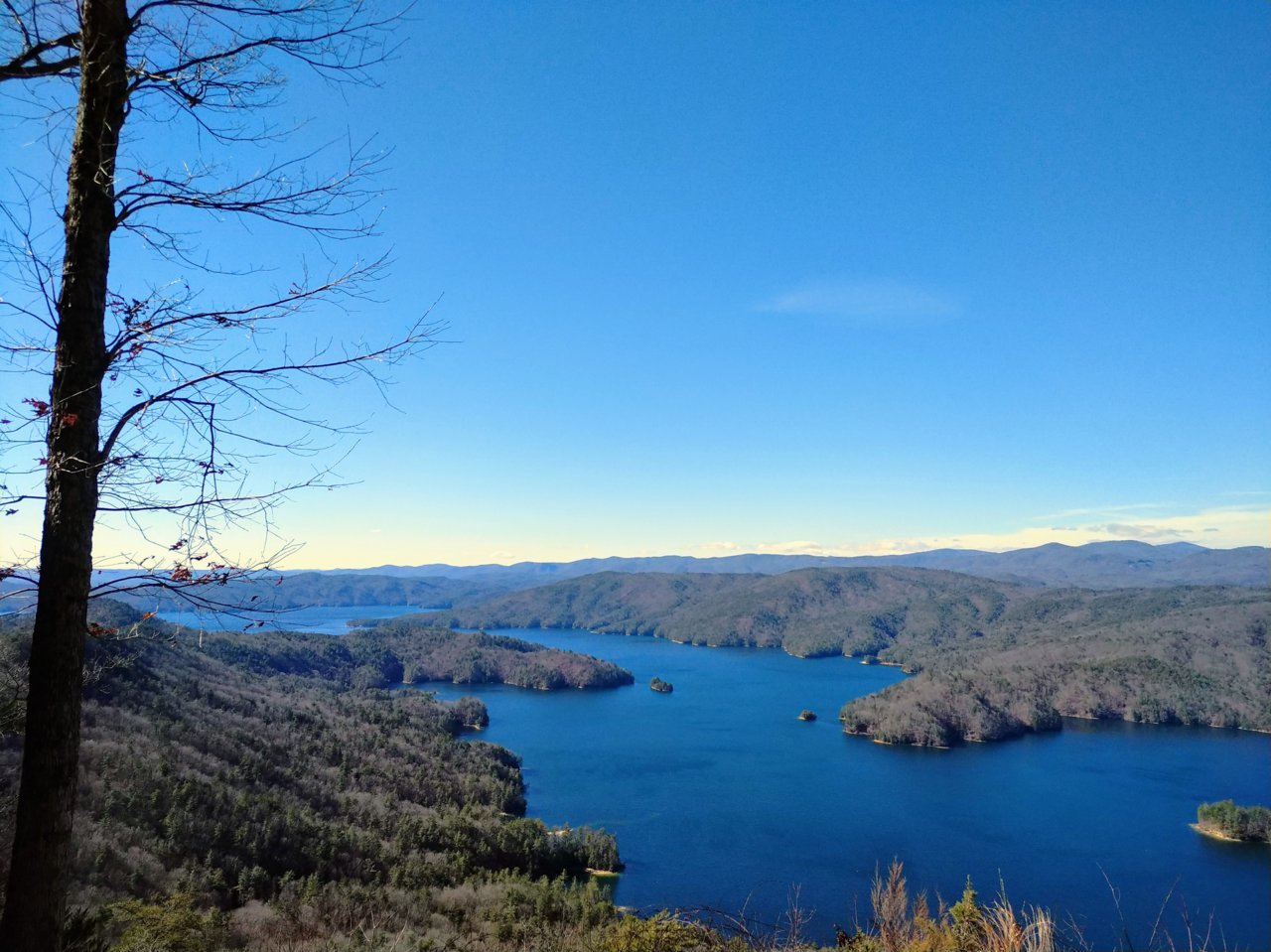 IMG_20190126_122151.jpg