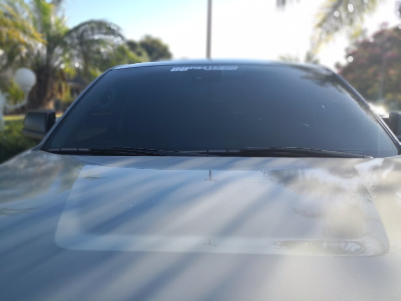IMG_20200806_173615.jpg