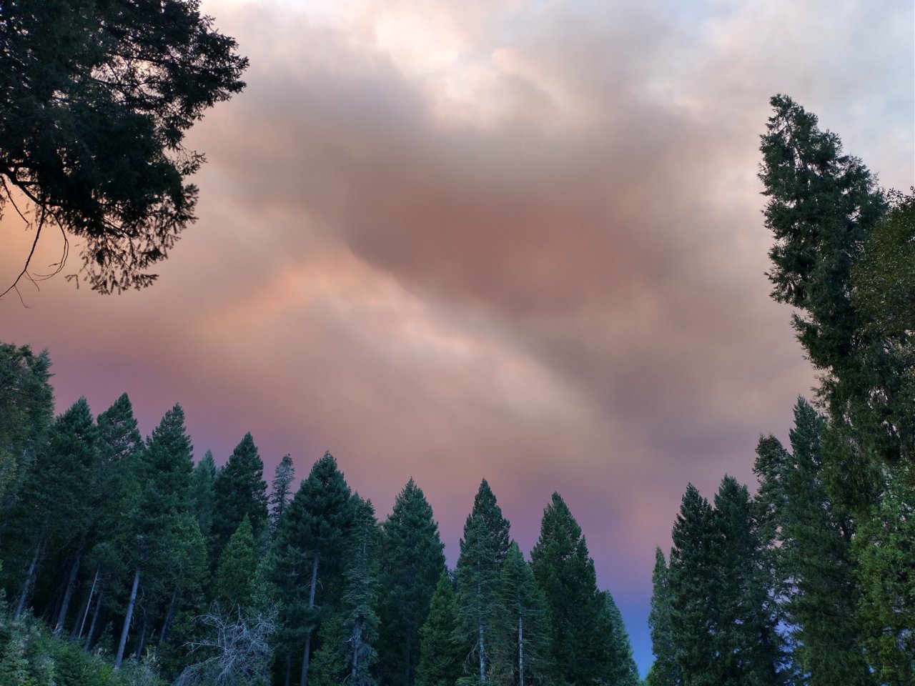 IMG_20200908_170925227_HDR.jpg