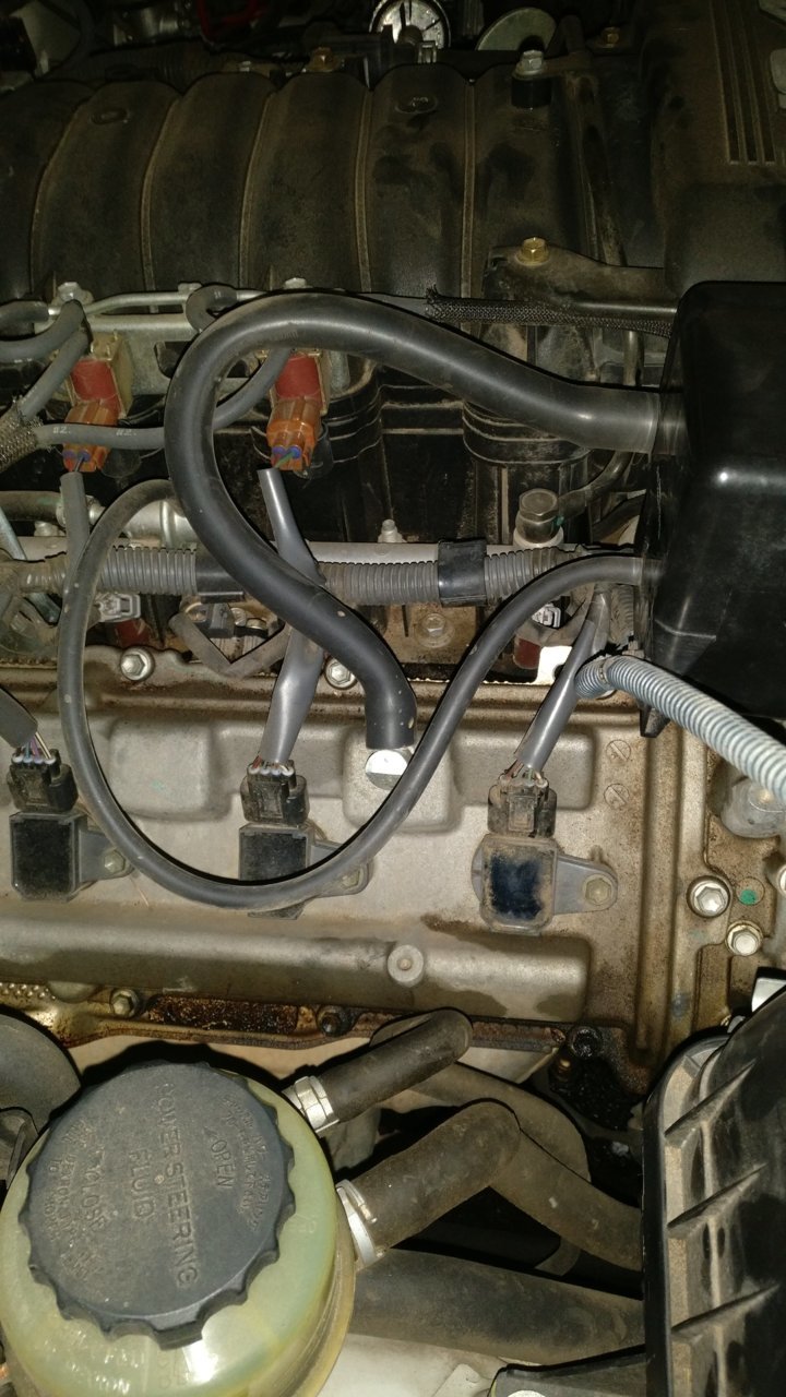 IMG_20201027_121415.jpg