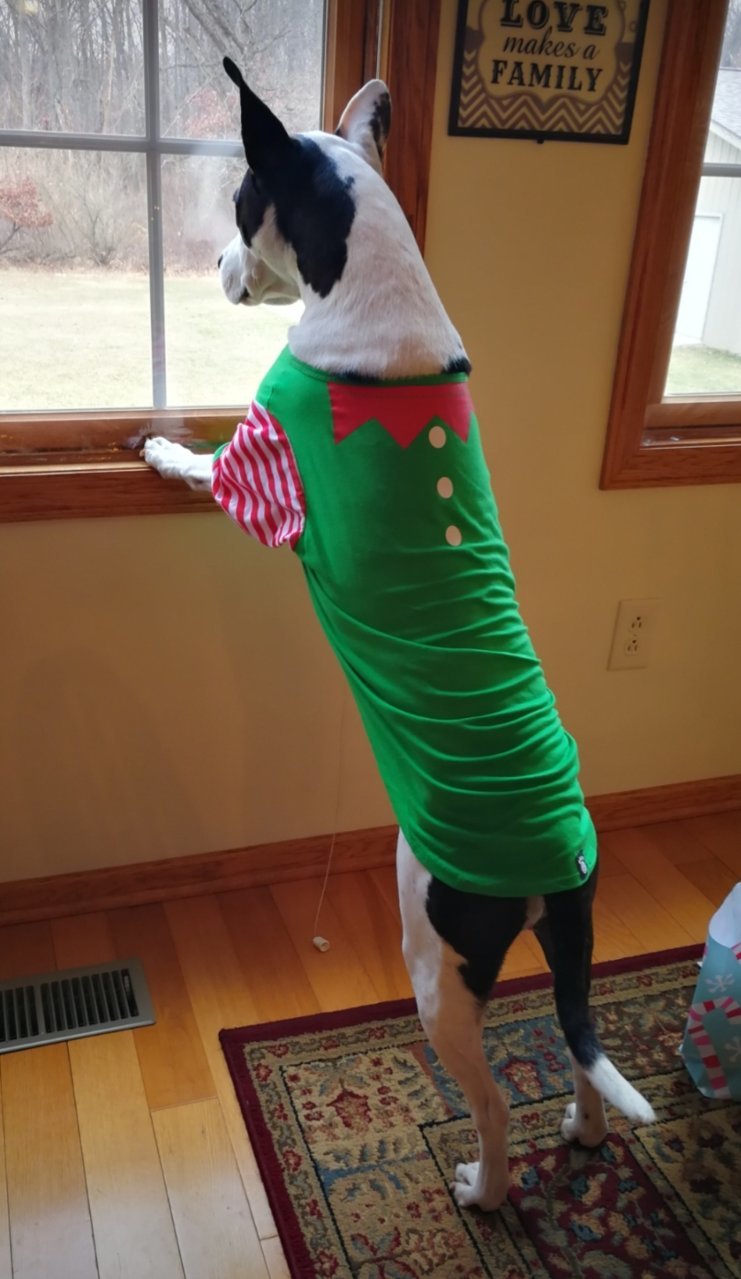 IMG_20201226_210213.jpg