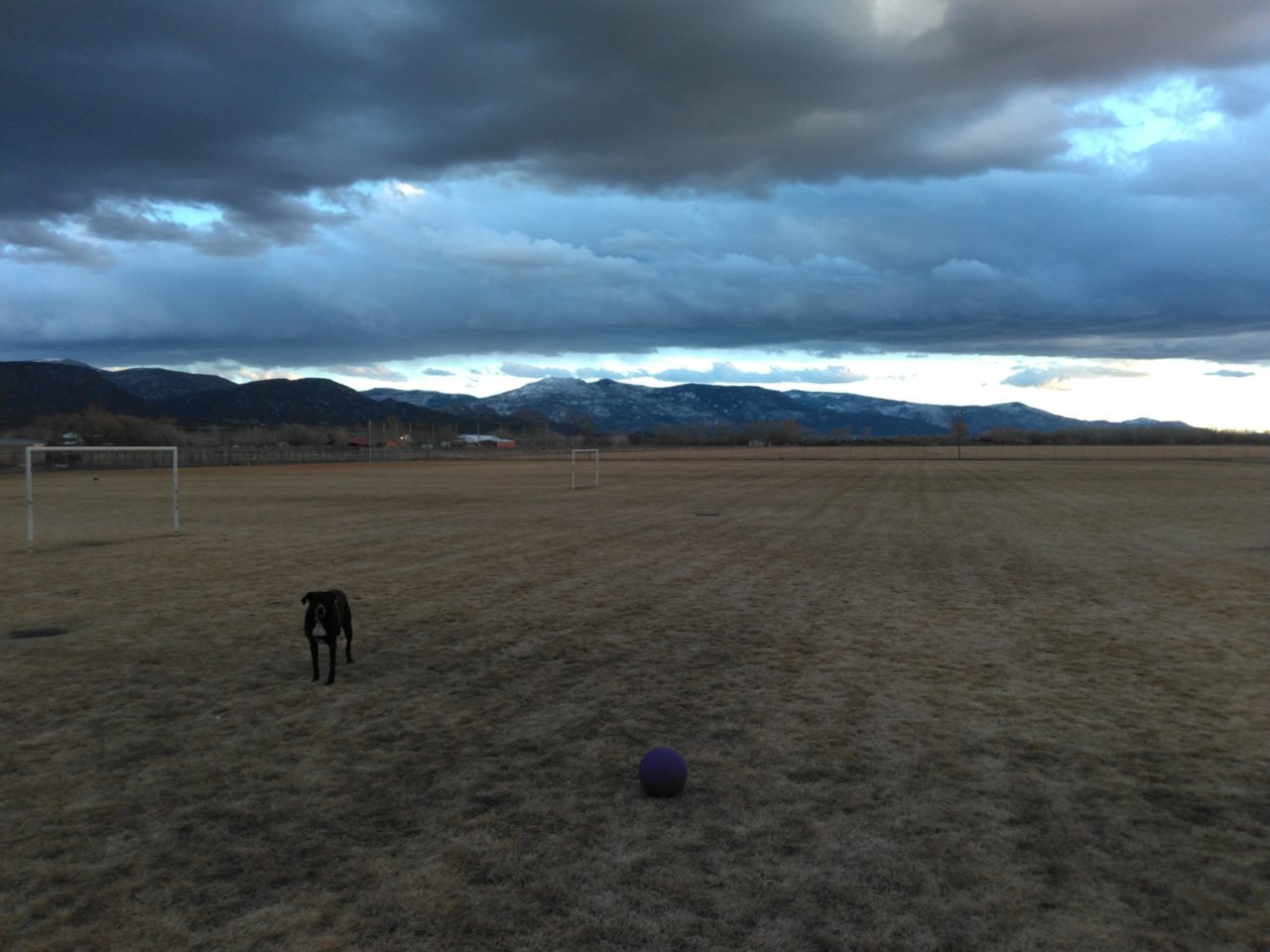 IMG_20210203_174146.jpg