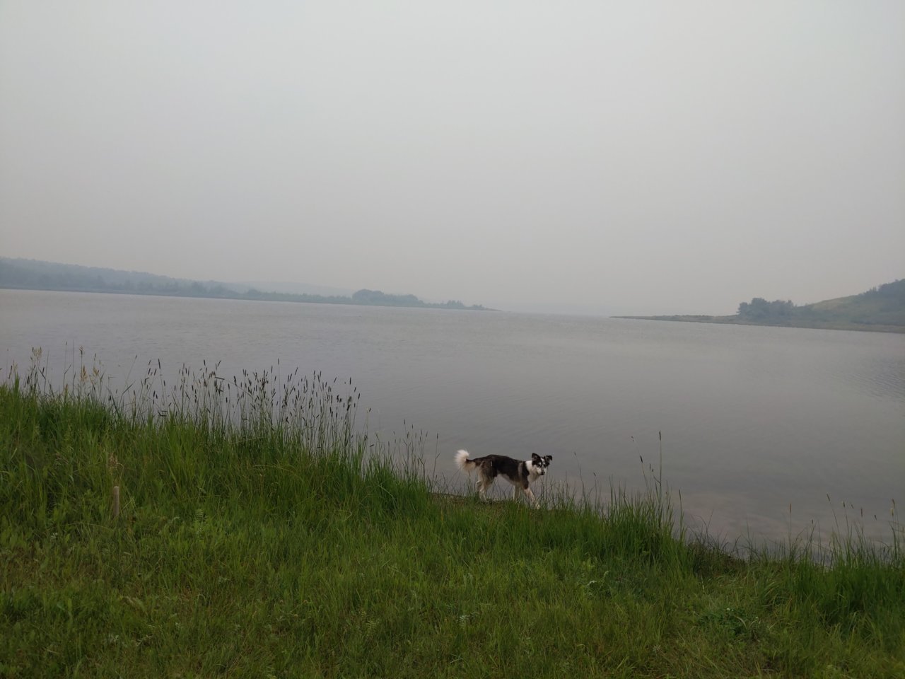 IMG_20210718_074600.jpg