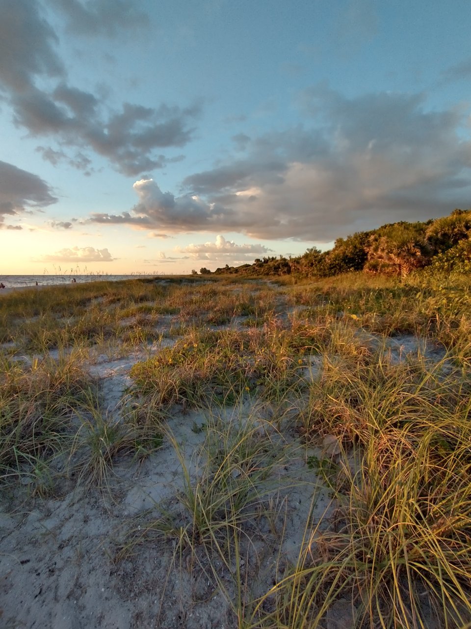 IMG_20211012_184930222_HDR.jpg