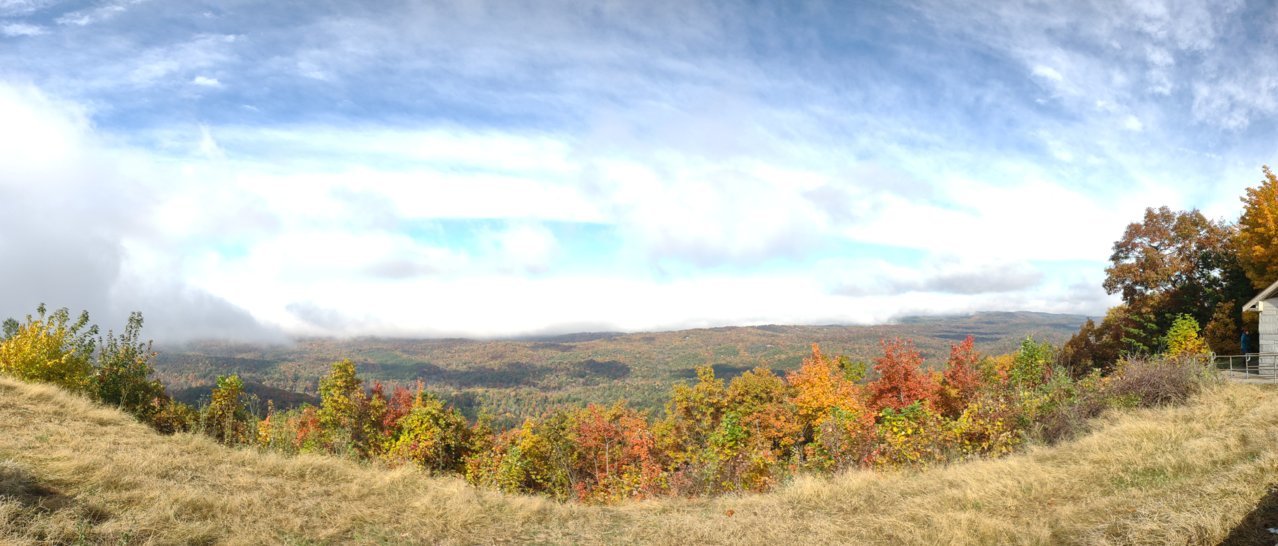 IMG_20211106_123629110.jpg