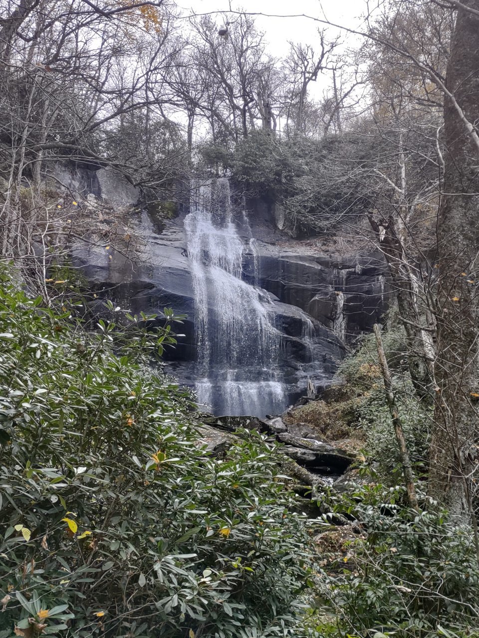 IMG_20211106_134044124_HDR.jpg