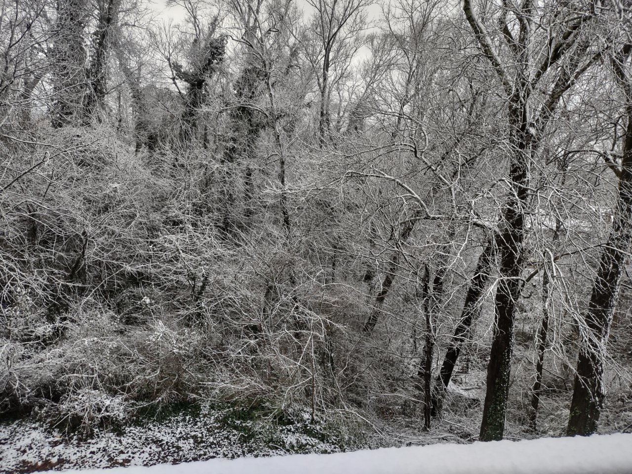 IMG_20220103_092328213_HDR.jpg