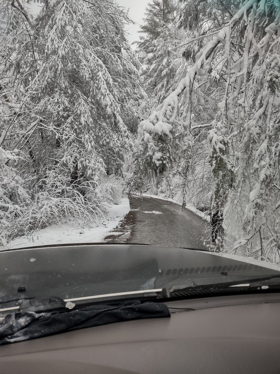IMG_20220103_141602039_HDR.jpg